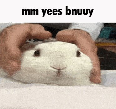 komentarz obrazkowy