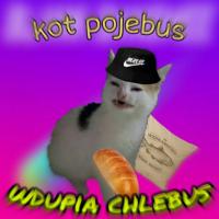 komentarz obrazkowy