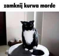 komentarz obrazkowy