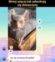komentarz obrazkowy