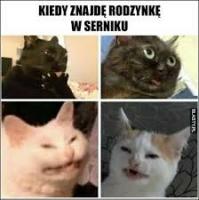 komentarz obrazkowy