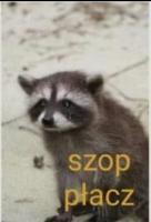komentarz obrazkowy