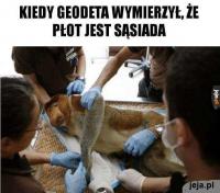 komentarz obrazkowy