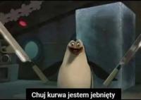 komentarz obrazkowy