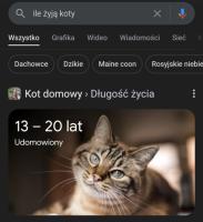 komentarz obrazkowy