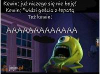 komentarz obrazkowy
