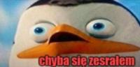 komentarz obrazkowy