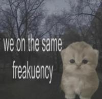 komentarz obrazkowy