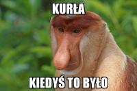 komentarz obrazkowy