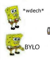 komentarz obrazkowy