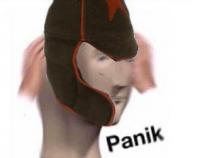 komentarz obrazkowy