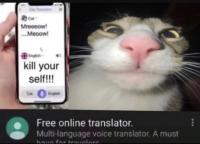 komentarz obrazkowy