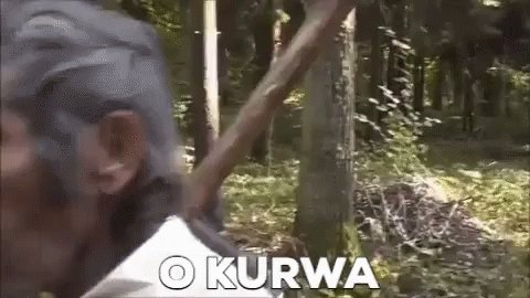 komentarz obrazkowy