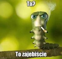 komentarz obrazkowy