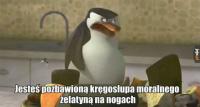 komentarz obrazkowy