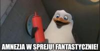 komentarz obrazkowy