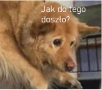 komentarz obrazkowy