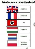 komentarz obrazkowy