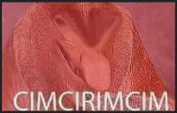 komentarz obrazkowy