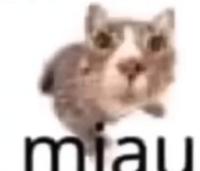 komentarz obrazkowy