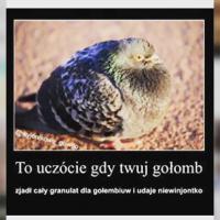 komentarz obrazkowy