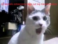 komentarz obrazkowy