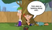 komentarz obrazkowy