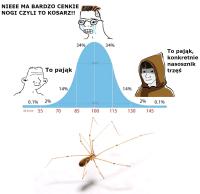 komentarz obrazkowy