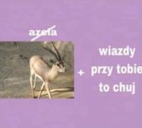 komentarz obrazkowy