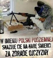 komentarz obrazkowy