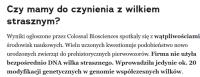komentarz obrazkowy