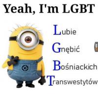 komentarz obrazkowy
