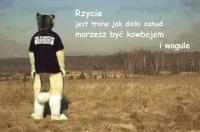 komentarz obrazkowy