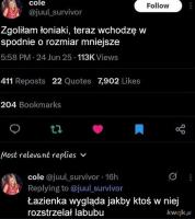 komentarz obrazkowy
