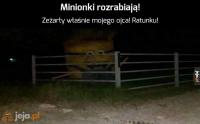 komentarz obrazkowy