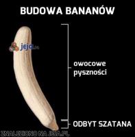 komentarz obrazkowy