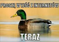 komentarz obrazkowy
