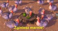 komentarz obrazkowy