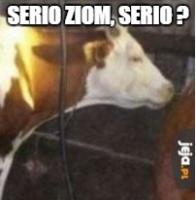 komentarz obrazkowy