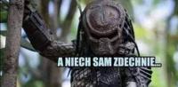 komentarz obrazkowy