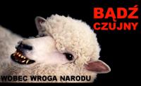 komentarz obrazkowy