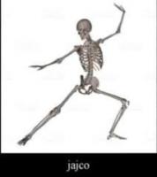 komentarz obrazkowy