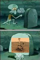 komentarz obrazkowy