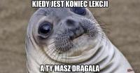 komentarz obrazkowy