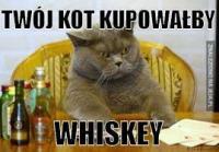 komentarz obrazkowy