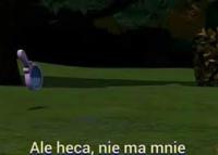 komentarz obrazkowy