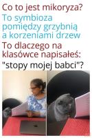 komentarz obrazkowy