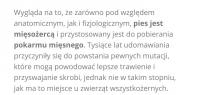 komentarz obrazkowy