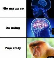 komentarz obrazkowy