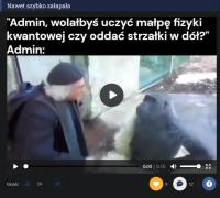 komentarz obrazkowy